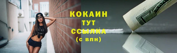 дживик Арсеньев