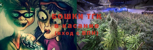 дживик Арсеньев