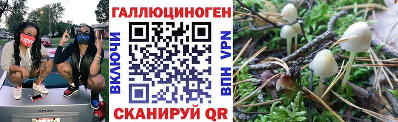 OMG как войти  Усинск  Галлюциногенные грибы мицелий 